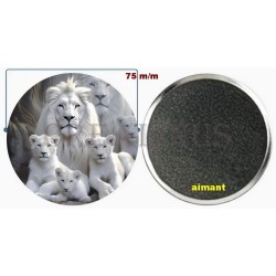 Badge Magnet Aimant 75 m/m avec Motif.