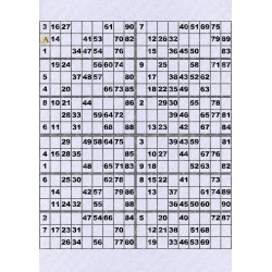 Plaque de 12 cartons de loto plastifié pliable neuf (A3).