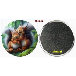 Badge Magnet Aimant 75 m/m avec Motif.