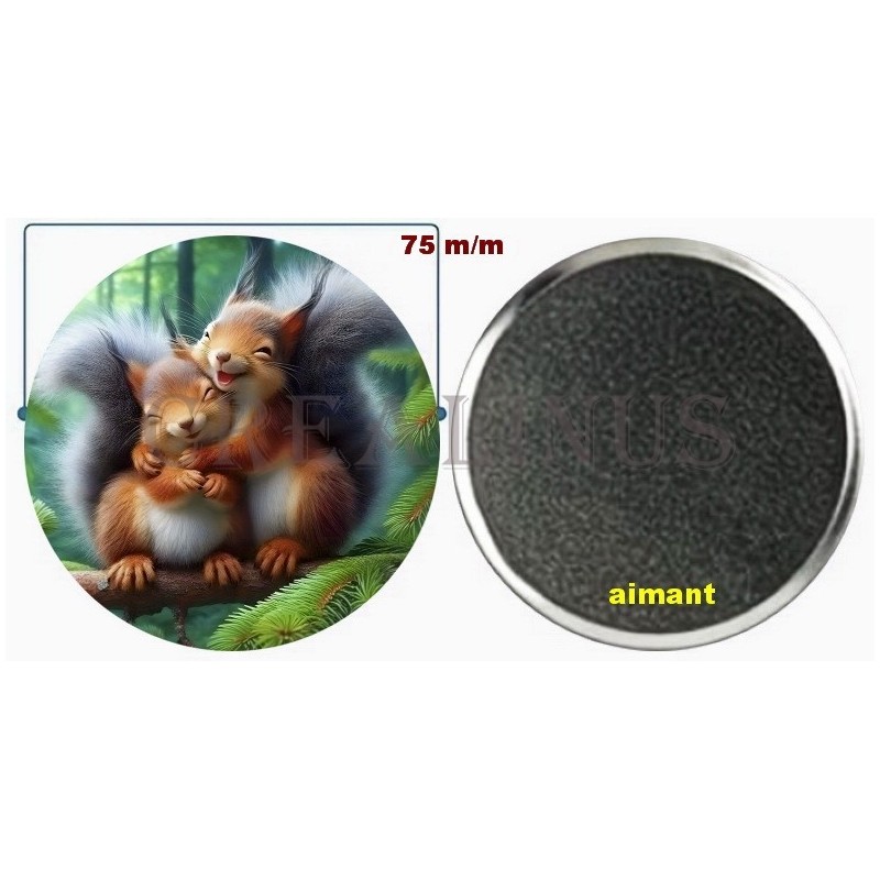 Badge Magnet Aimant 75 m/m avec Motif.