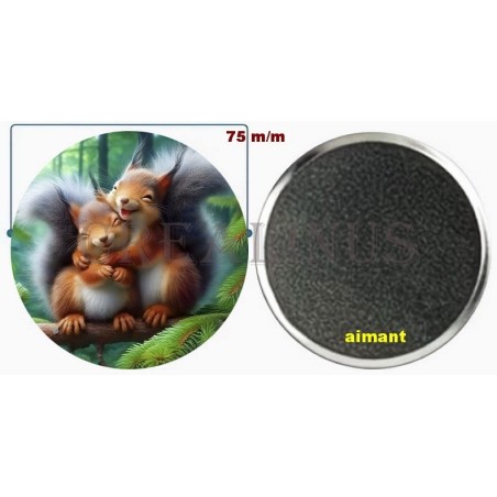 Badge Magnet Aimant 75 m/m avec Motif.