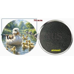Badge Magnet Aimant 75 m/m avec Motif.