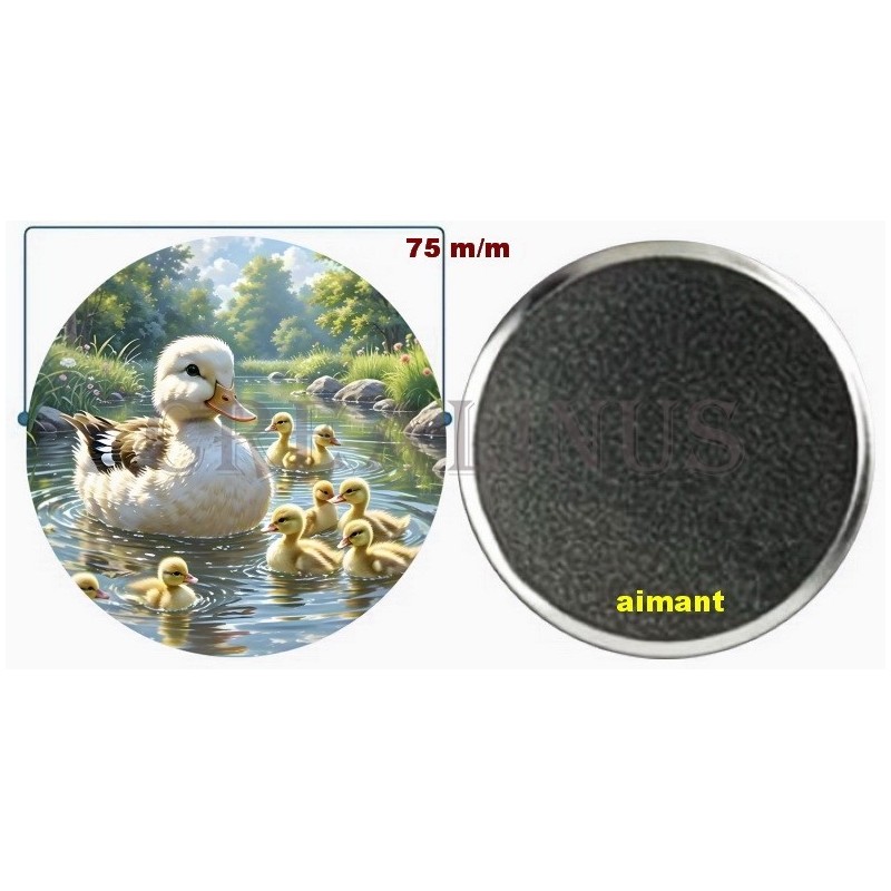 Badge Magnet Aimant 75 m/m avec Motif.