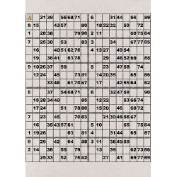 Plaque de 12 cartons de loto plastifié pliable neuf (A3).