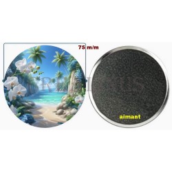 Badge Magnet Aimant 75 m/m avec Motif.