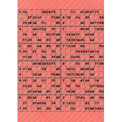 Plaque de 12 cartons de loto plastifié pliable neuf (A3).