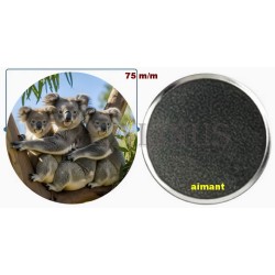 Badge Magnet Aimant 75 m/m avec Motif.