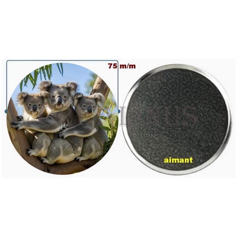 Badge Magnet Aimant 75 m/m avec Motif.