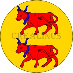 Badge Magnet Aimant 75 m/m avec Motif Drapeau (Béarn)