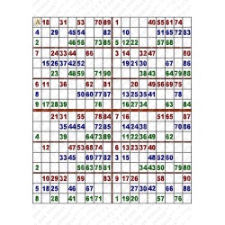 Plaque de 12 cartons de loto plastifié pliable neuf (A3).