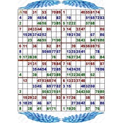 Plaque de 12 cartons de loto plastifié pliable neuf (A3).