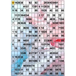 Plaque de 12 cartons de loto plastifié pliable neuf (A3).