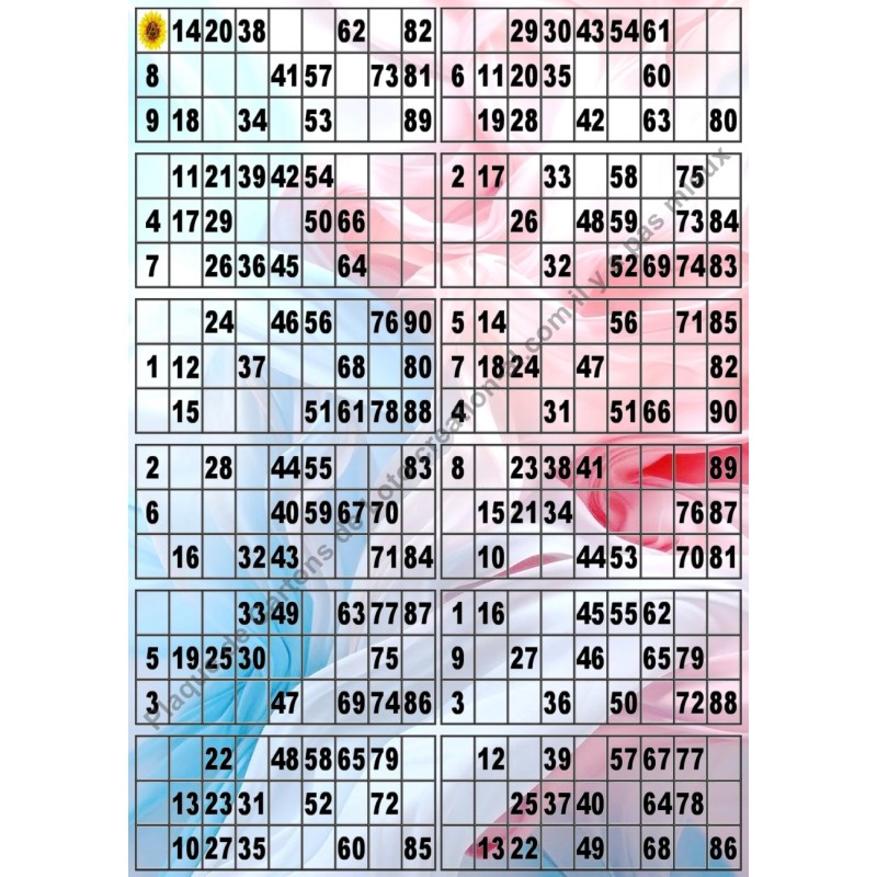 Plaque de 12 cartons de loto plastifié pliable neuf (A3).