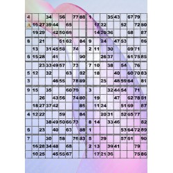 Plaque de 12 cartons de loto plastifié pliable neuf (A3).