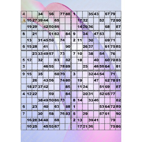 Plaque de 12 cartons de loto plastifié pliable neuf (A3).