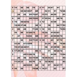 Plaque de 12 cartons de loto plastifié pliable neuf (A3).