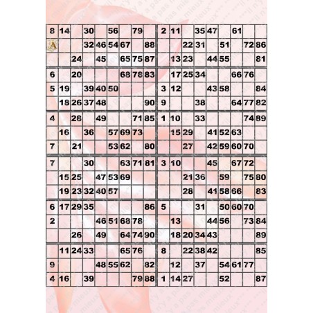 Plaque de 12 cartons de loto plastifié pliable neuf (A3).