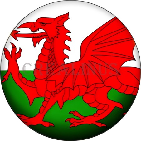 Badge Magnet Aimant 75 m/m avec Motif Drapeau (Wales)