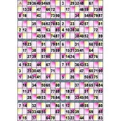 Plaque de 12 cartons de loto plastifié pliable neuf (A3).