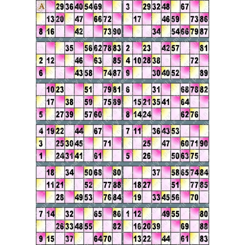 Plaque de 12 cartons de loto plastifié pliable neuf (A3).