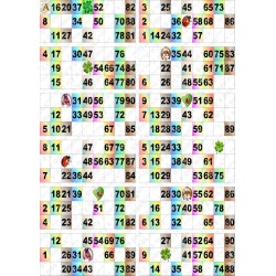 Plaque de 12 cartons de loto plastifié pliable neuf (A3).