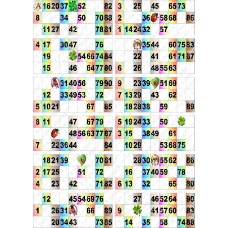 Plaque de 12 cartons de loto plastifié pliable neuf (A3).