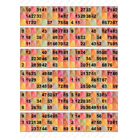 Plaque de 12 cartons de loto plastifié pliable neuf (A3).