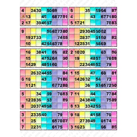 Plaque de 12 cartons de loto plastifié pliable neuf (A3).