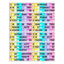 Plaque de 12 cartons de loto plastifié pliable neuf (A3).