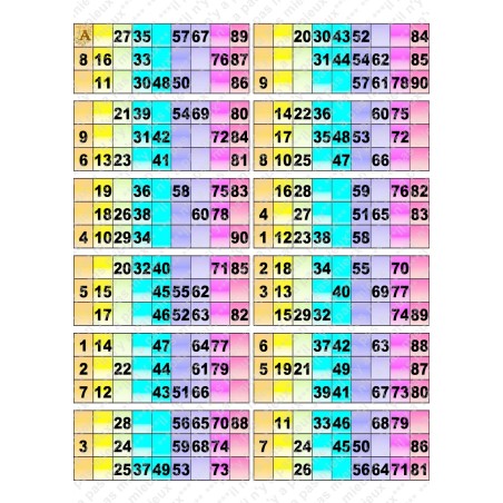 Plaque de 12 cartons de loto plastifié pliable neuf (A3).
