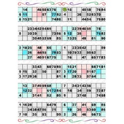 Plaque de 12 cartons de loto plastifié pliable neuf (A3).