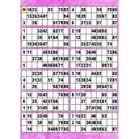 Plaque de 12 cartons de loto plastifié pliable neuf (A3).
