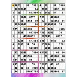 Plaque de 12 cartons de loto plastifié pliable neuf (A3).