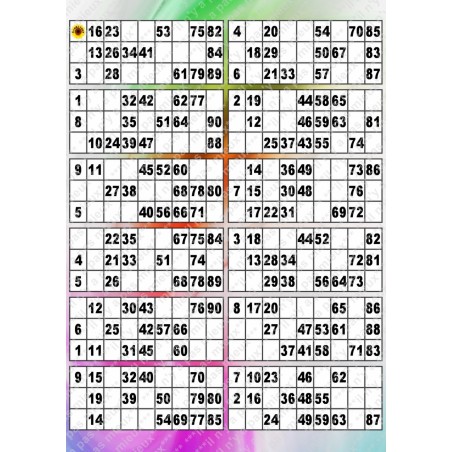 Plaque de 12 cartons de loto plastifié pliable neuf (A3).