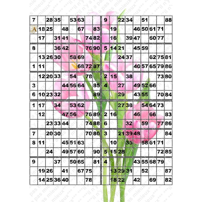 Plaque de 12 cartons de loto plastifié pliable neuf (A3).