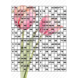 Plaque de 12 cartons de loto plastifié pliable neuf (A3).