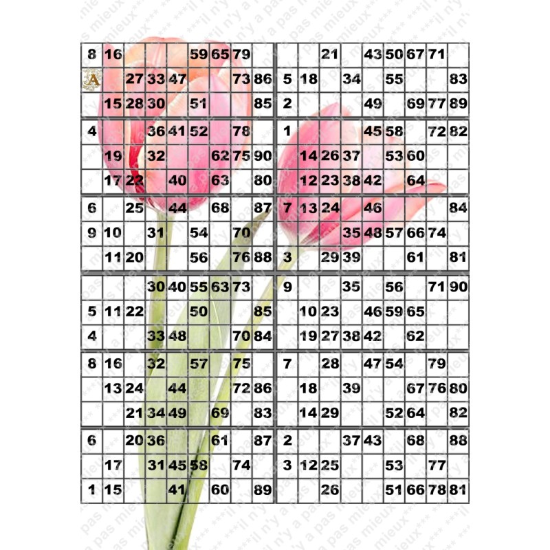 Plaque de 12 cartons de loto plastifié pliable neuf (A3).