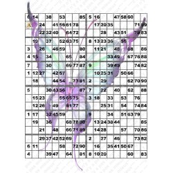 Plaque de 12 cartons de loto plastifié pliable neuf (A3).