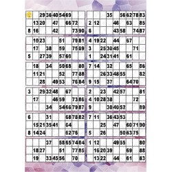 Plaque de 12 cartons de loto plastifié pliable neuf (A3).