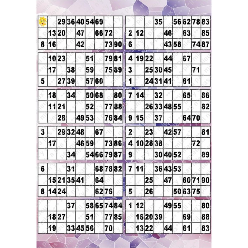 Plaque de 12 cartons de loto plastifié pliable neuf (A3).