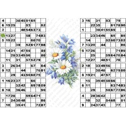 Plaque de 12 cartons de loto plastifié pliable neuf (A3).