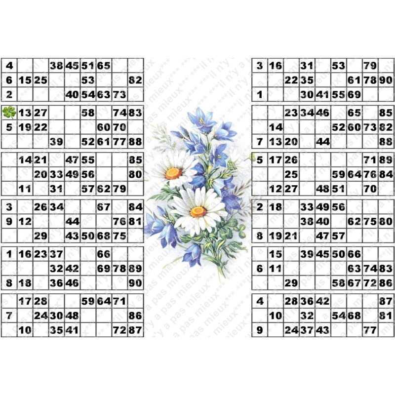Plaque de 12 cartons de loto plastifié pliable neuf (A3).