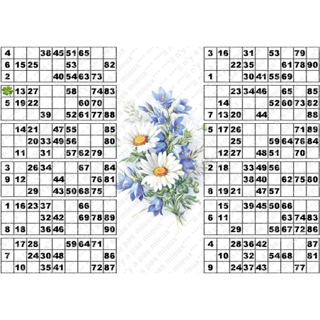 Plaque de 12 cartons de loto plastifié pliable neuf (A3).