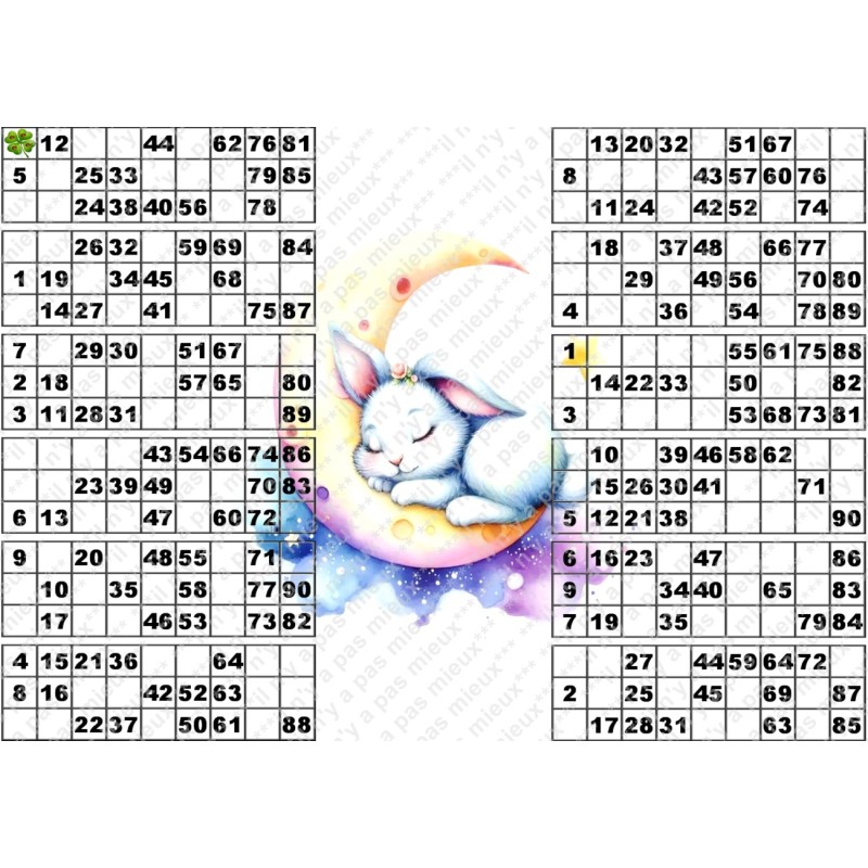 Plaque de 12 cartons de loto plastifié pliable neuf (A3).