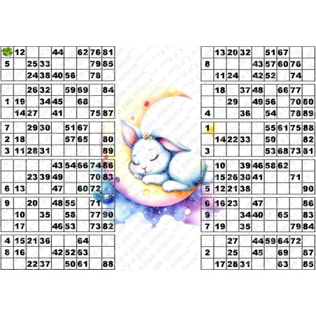 Plaque de 12 cartons de loto plastifié pliable neuf (A3).