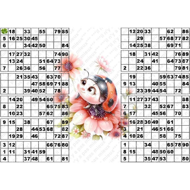 Plaque de 12 cartons de loto plastifié pliable neuf (A3).