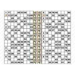 Plaque de 12 cartons de loto plastifié pliable neuf (A3).