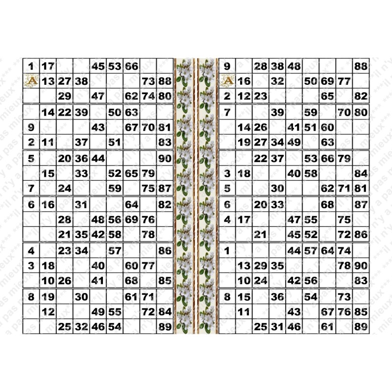 Plaque de 12 cartons de loto plastifié pliable neuf (A3).