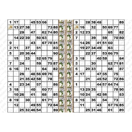 Plaque de 12 cartons de loto plastifié pliable neuf (A3).