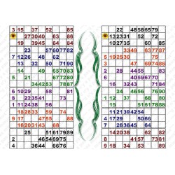 Plaque de 12 cartons de loto plastifié pliable neuf (A3).